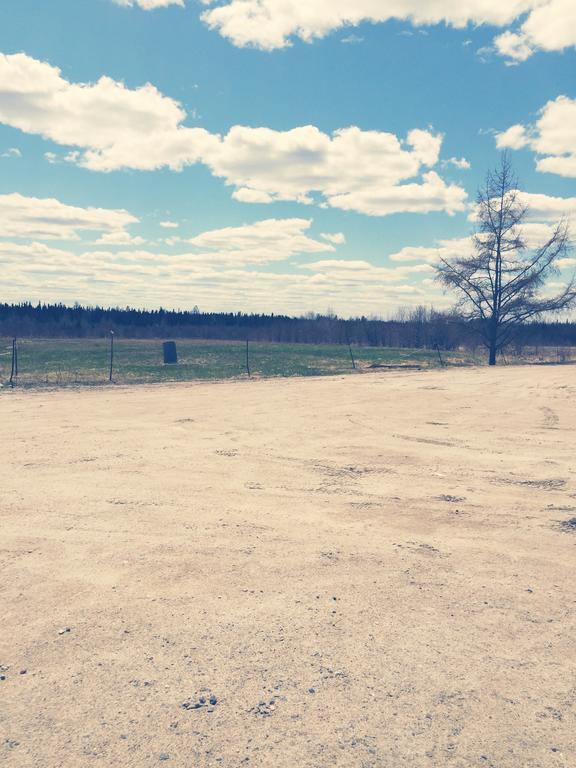 North Adventure Inn Cochrane Экстерьер фото