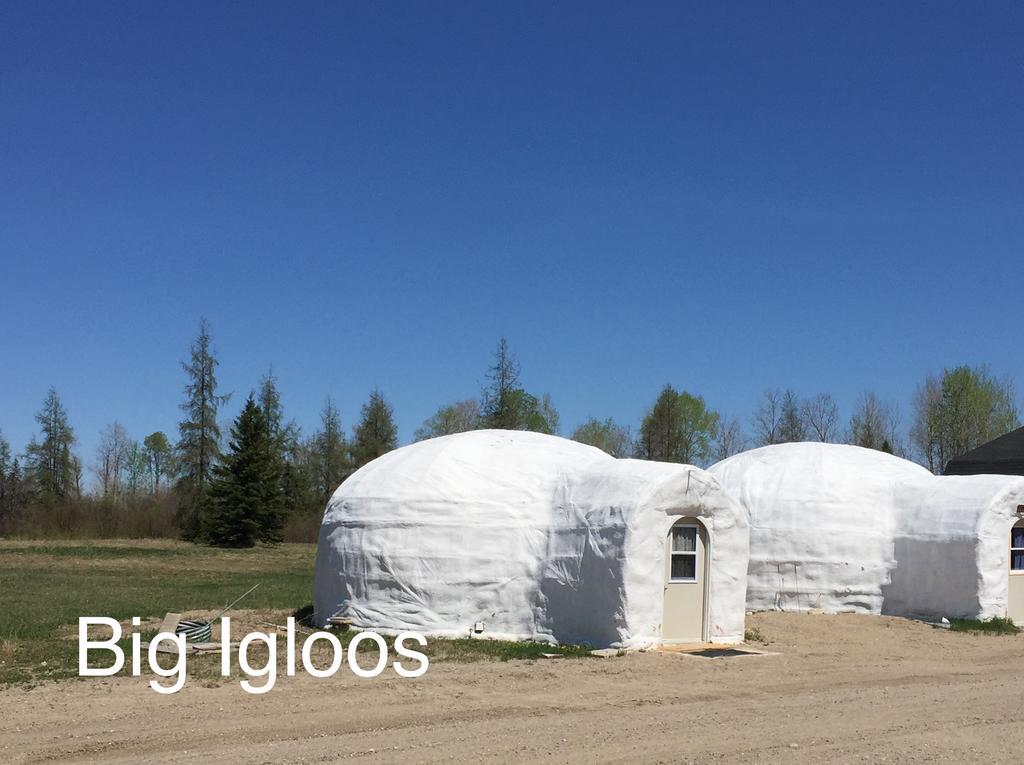 North Adventure Inn Cochrane Экстерьер фото